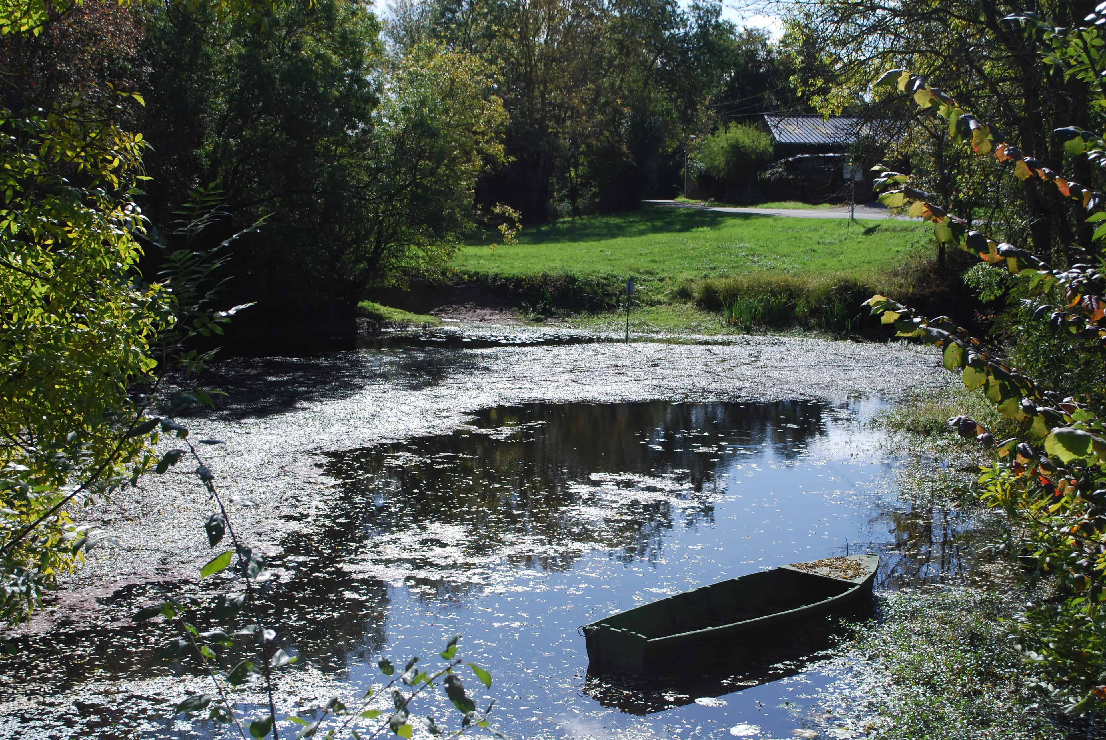 Etang Boire face à la maison d’hôtes Etang Boire face à la maison d'hôtes