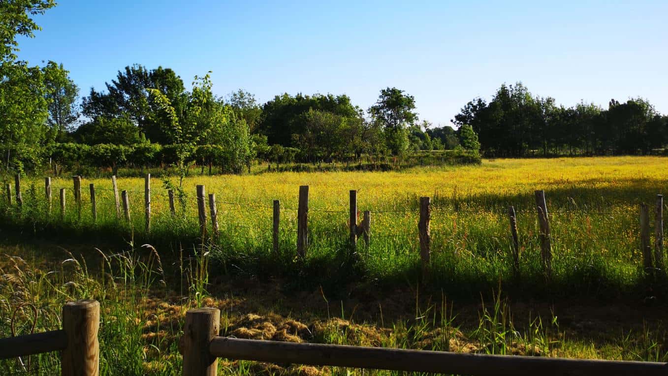 paysage-face-maison